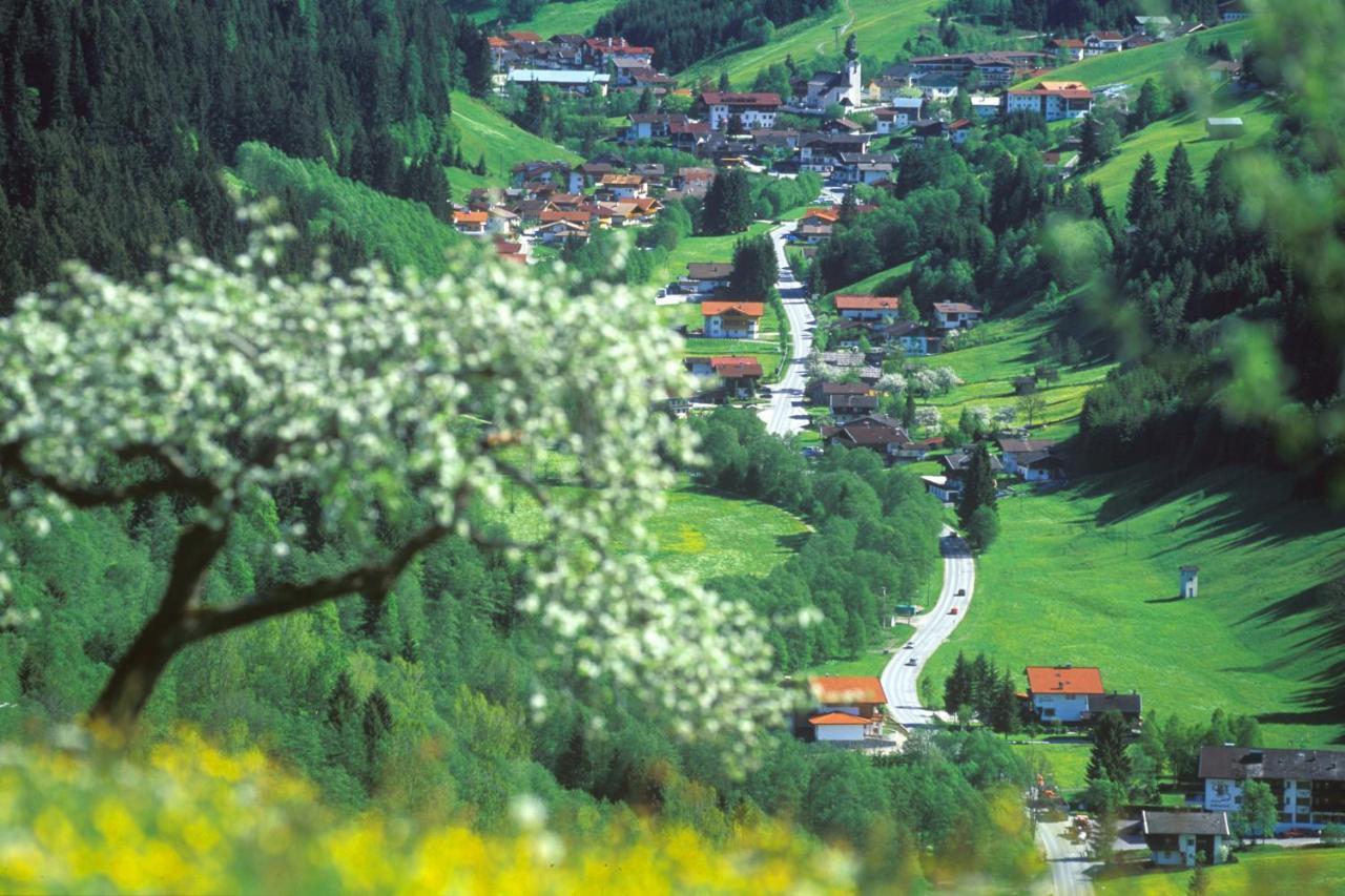 Haus Am Wildbach Hotel Auffach Exterior photo